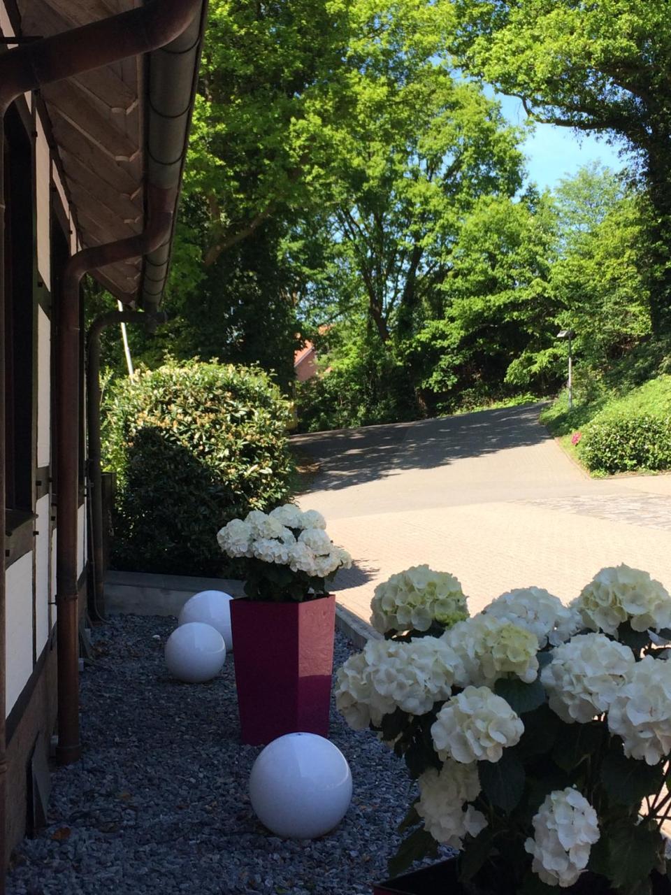 Hotel Niedersaechsischer Hof 바트벤트하임 외부 사진